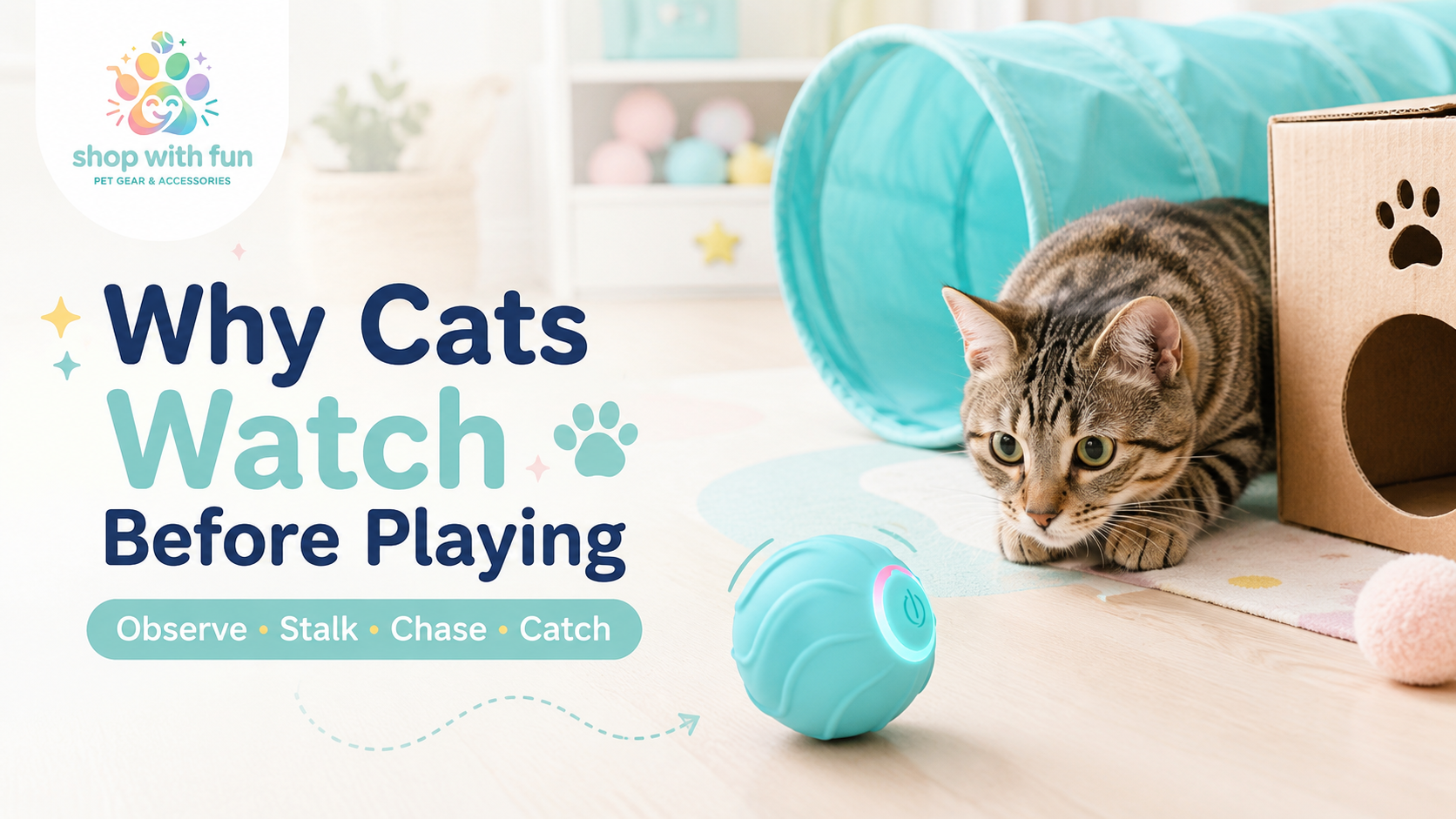 Tabby cat watching a blue automatic rolling toy from behind a play tunnel before deciding whether to stalk and chase