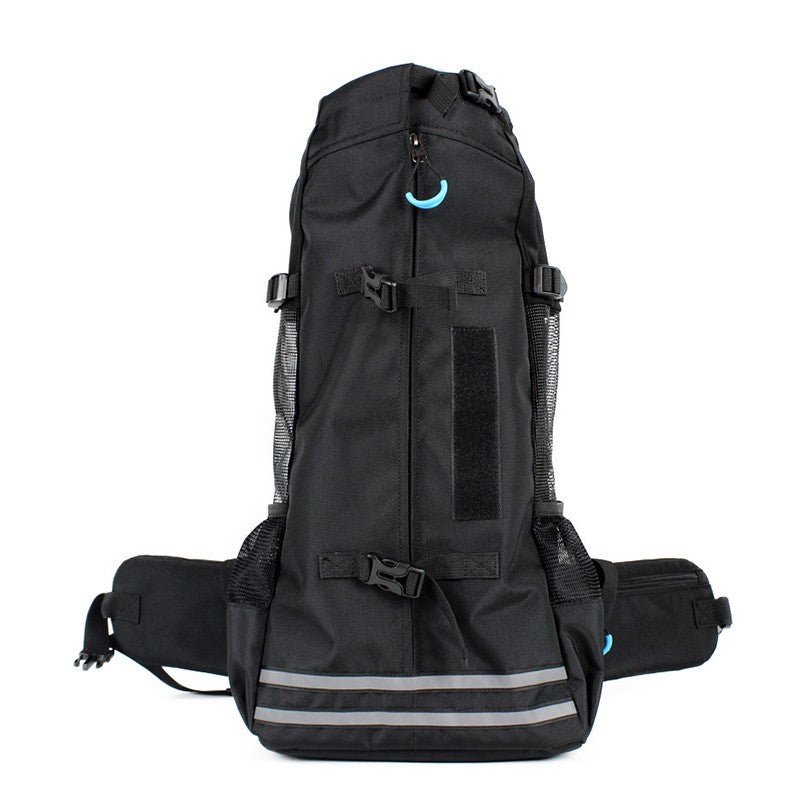 Rear view of pet backpack carrier showing padded adjustable shoulder straps for walking and travel.