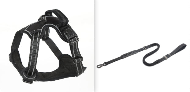 Reflective breathable dog harness with air-mesh padding for daily walks - Black Set 2