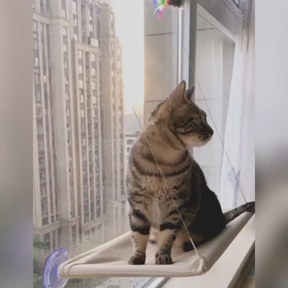 Foldable cat window hammock for bird watching sunbathing and indoor lounging showcase 3