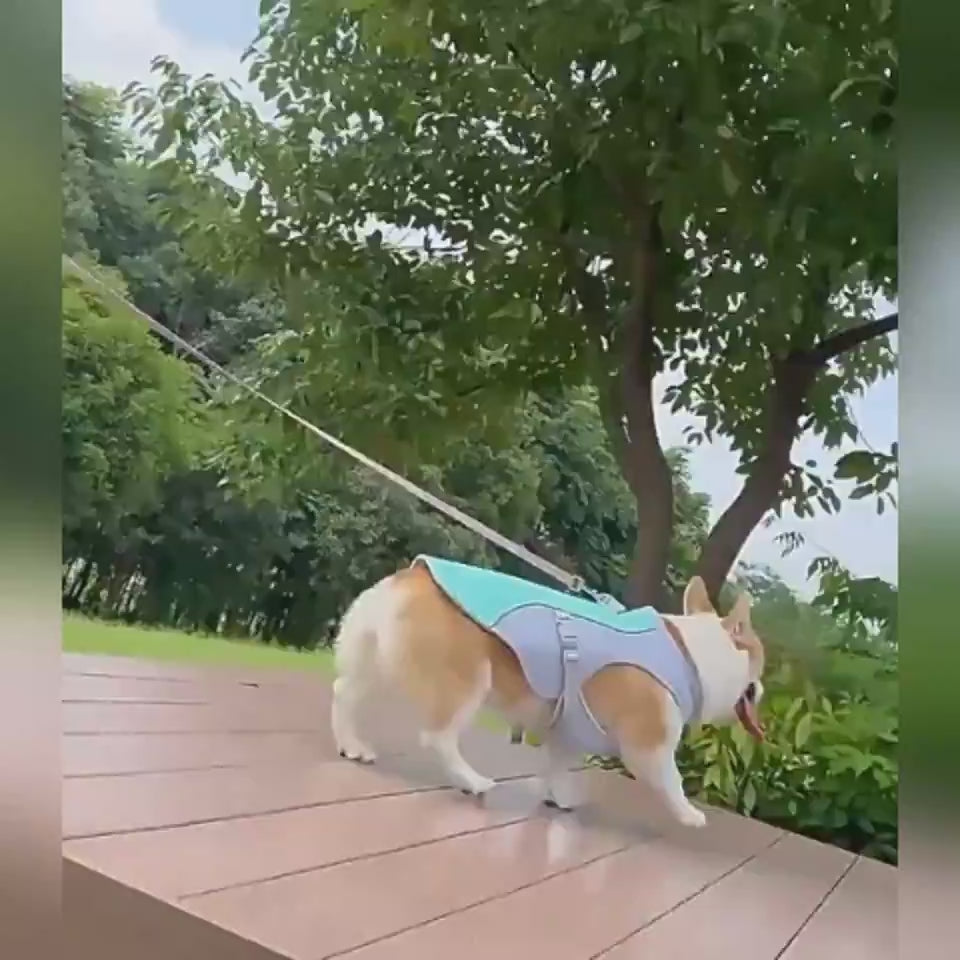 Water-activated dog cooling vest for warm-weather walks and outdoor comfort - Showcase 4