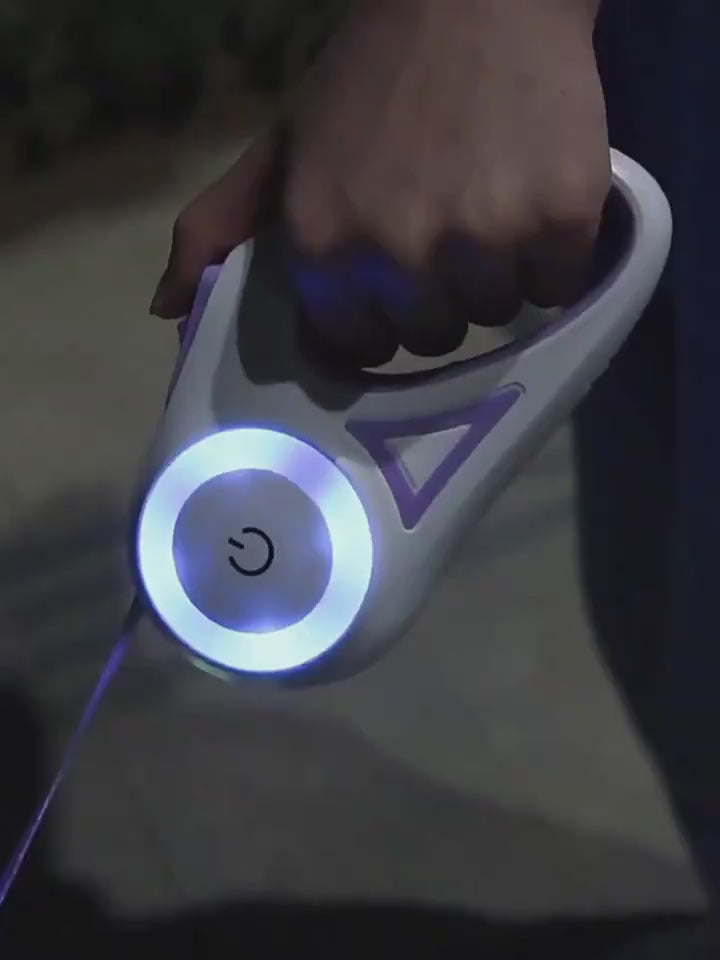 Illuminated retractable dog leash with built-in flashlight for night walks - Purple - Showcase 2